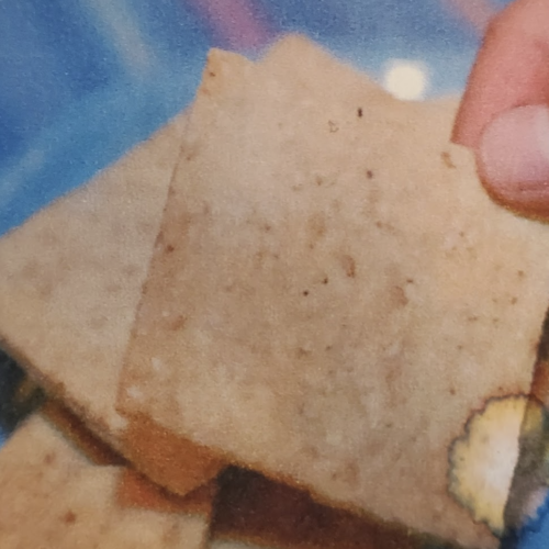 sesame cracker